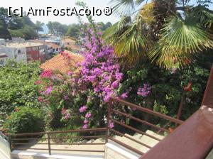 [P21] Ulcinj Scară spre oraşul de jos » foto by Michi
 - 
<span class="allrVoted glyphicon glyphicon-heart hidden" id="av793376"></span>
<a class="m-l-10 hidden" id="sv793376" onclick="voting_Foto_DelVot(,793376,3106)" role="button">șterge vot <span class="glyphicon glyphicon-remove"></span></a>
<a id="v9793376" class=" c-red"  onclick="voting_Foto_SetVot(793376)" role="button"><span class="glyphicon glyphicon-heart-empty"></span> <b>LIKE</b> = Votează poza</a> <img class="hidden"  id="f793376W9" src="/imagini/loader.gif" border="0" /><span class="AjErrMes hidden" id="e793376ErM"></span>