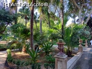 [P03] Orto Botanico, o oază de verdeață. » foto by maryka
 - 
<span class="allrVoted glyphicon glyphicon-heart hidden" id="av1338173"></span>
<a class="m-l-10 hidden" id="sv1338173" onclick="voting_Foto_DelVot(,1338173,3109)" role="button">șterge vot <span class="glyphicon glyphicon-remove"></span></a>
<a id="v91338173" class=" c-red"  onclick="voting_Foto_SetVot(1338173)" role="button"><span class="glyphicon glyphicon-heart-empty"></span> <b>LIKE</b> = Votează poza</a> <img class="hidden"  id="f1338173W9" src="/imagini/loader.gif" border="0" /><span class="AjErrMes hidden" id="e1338173ErM"></span>