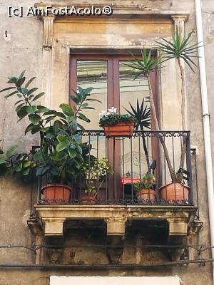 [P22] Catania romantică » foto by crismis
 - 
<span class="allrVoted glyphicon glyphicon-heart hidden" id="av1049894"></span>
<a class="m-l-10 hidden" id="sv1049894" onclick="voting_Foto_DelVot(,1049894,3109)" role="button">șterge vot <span class="glyphicon glyphicon-remove"></span></a>
<a id="v91049894" class=" c-red"  onclick="voting_Foto_SetVot(1049894)" role="button"><span class="glyphicon glyphicon-heart-empty"></span> <b>LIKE</b> = Votează poza</a> <img class="hidden"  id="f1049894W9" src="/imagini/loader.gif" border="0" /><span class="AjErrMes hidden" id="e1049894ErM"></span>