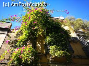 [P29] Catania romantică » foto by crismis
 - 
<span class="allrVoted glyphicon glyphicon-heart hidden" id="av1049901"></span>
<a class="m-l-10 hidden" id="sv1049901" onclick="voting_Foto_DelVot(,1049901,3109)" role="button">șterge vot <span class="glyphicon glyphicon-remove"></span></a>
<a id="v91049901" class=" c-red"  onclick="voting_Foto_SetVot(1049901)" role="button"><span class="glyphicon glyphicon-heart-empty"></span> <b>LIKE</b> = Votează poza</a> <img class="hidden"  id="f1049901W9" src="/imagini/loader.gif" border="0" /><span class="AjErrMes hidden" id="e1049901ErM"></span>