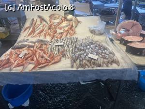 [P06] Catania- La Pescheria » foto by Yersinia Pestis
 - 
<span class="allrVoted glyphicon glyphicon-heart hidden" id="av1516419"></span>
<a class="m-l-10 hidden" id="sv1516419" onclick="voting_Foto_DelVot(,1516419,3109)" role="button">șterge vot <span class="glyphicon glyphicon-remove"></span></a>
<a id="v91516419" class=" c-red"  onclick="voting_Foto_SetVot(1516419)" role="button"><span class="glyphicon glyphicon-heart-empty"></span> <b>LIKE</b> = Votează poza</a> <img class="hidden"  id="f1516419W9" src="/imagini/loader.gif" border="0" /><span class="AjErrMes hidden" id="e1516419ErM"></span>