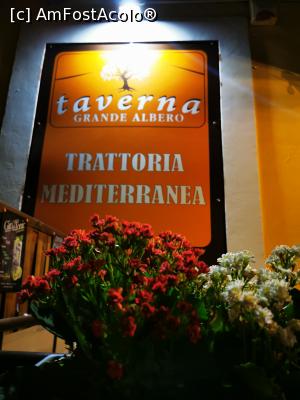 [P02] Taverna Grande Alberto » foto by cata2106
 - 
<span class="allrVoted glyphicon glyphicon-heart hidden" id="av1258104"></span>
<a class="m-l-10 hidden" id="sv1258104" onclick="voting_Foto_DelVot(,1258104,3109)" role="button">șterge vot <span class="glyphicon glyphicon-remove"></span></a>
<a id="v91258104" class=" c-red"  onclick="voting_Foto_SetVot(1258104)" role="button"><span class="glyphicon glyphicon-heart-empty"></span> <b>LIKE</b> = Votează poza</a> <img class="hidden"  id="f1258104W9" src="/imagini/loader.gif" border="0" /><span class="AjErrMes hidden" id="e1258104ErM"></span>