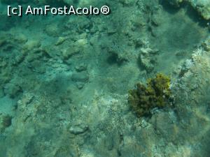 [P36] Aquarium Bay » foto by Spakko
 - 
<span class="allrVoted glyphicon glyphicon-heart hidden" id="av782043"></span>
<a class="m-l-10 hidden" id="sv782043" onclick="voting_Foto_DelVot(,782043,3123)" role="button">șterge vot <span class="glyphicon glyphicon-remove"></span></a>
<a id="v9782043" class=" c-red"  onclick="voting_Foto_SetVot(782043)" role="button"><span class="glyphicon glyphicon-heart-empty"></span> <b>LIKE</b> = Votează poza</a> <img class="hidden"  id="f782043W9" src="/imagini/loader.gif" border="0" /><span class="AjErrMes hidden" id="e782043ErM"></span>