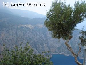 [P69] Peisaj vazut urcand spre varfurile muntilor Babadag » foto by adryana
 - 
<span class="allrVoted glyphicon glyphicon-heart hidden" id="av1092480"></span>
<a class="m-l-10 hidden" id="sv1092480" onclick="voting_Foto_DelVot(,1092480,3123)" role="button">șterge vot <span class="glyphicon glyphicon-remove"></span></a>
<a id="v91092480" class=" c-red"  onclick="voting_Foto_SetVot(1092480)" role="button"><span class="glyphicon glyphicon-heart-empty"></span> <b>LIKE</b> = Votează poza</a> <img class="hidden"  id="f1092480W9" src="/imagini/loader.gif" border="0" /><span class="AjErrMes hidden" id="e1092480ErM"></span>
