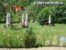 [P08] gradina din fata pensiunii, verde peste tot! » foto by dennise
 - 
<span class="allrVoted glyphicon glyphicon-heart hidden" id="av116970"></span>
<a class="m-l-10 hidden" id="sv116970" onclick="voting_Foto_DelVot(,116970,3126)" role="button">șterge vot <span class="glyphicon glyphicon-remove"></span></a>
<a id="v9116970" class=" c-red"  onclick="voting_Foto_SetVot(116970)" role="button"><span class="glyphicon glyphicon-heart-empty"></span> <b>LIKE</b> = Votează poza</a> <img class="hidden"  id="f116970W9" src="/imagini/loader.gif" border="0" /><span class="AjErrMes hidden" id="e116970ErM"></span>