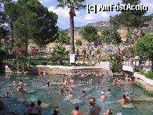 [P40] piscina Cleopatrei din Pamukkale » foto by Nino
 - 
<span class="allrVoted glyphicon glyphicon-heart hidden" id="av312435"></span>
<a class="m-l-10 hidden" id="sv312435" onclick="voting_Foto_DelVot(,312435,3144)" role="button">șterge vot <span class="glyphicon glyphicon-remove"></span></a>
<a id="v9312435" class=" c-red"  onclick="voting_Foto_SetVot(312435)" role="button"><span class="glyphicon glyphicon-heart-empty"></span> <b>LIKE</b> = Votează poza</a> <img class="hidden"  id="f312435W9" src="/imagini/loader.gif" border="0" /><span class="AjErrMes hidden" id="e312435ErM"></span>