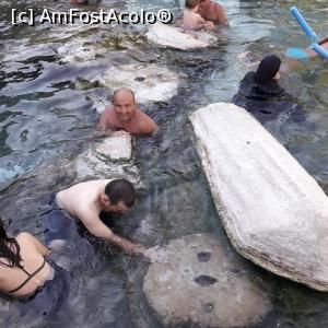 [P33] Bazinul Cleopatrei » foto by catalinioan
 - 
<span class="allrVoted glyphicon glyphicon-heart hidden" id="av1082301"></span>
<a class="m-l-10 hidden" id="sv1082301" onclick="voting_Foto_DelVot(,1082301,3144)" role="button">șterge vot <span class="glyphicon glyphicon-remove"></span></a>
<a id="v91082301" class=" c-red"  onclick="voting_Foto_SetVot(1082301)" role="button"><span class="glyphicon glyphicon-heart-empty"></span> <b>LIKE</b> = Votează poza</a> <img class="hidden"  id="f1082301W9" src="/imagini/loader.gif" border="0" /><span class="AjErrMes hidden" id="e1082301ErM"></span>