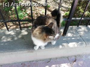 [P03] La pas prin Kusadasi » foto by ⭐ValentinB_88⭐
 - 
<span class="allrVoted glyphicon glyphicon-heart hidden" id="av1307832"></span>
<a class="m-l-10 hidden" id="sv1307832" onclick="voting_Foto_DelVot(,1307832,3144)" role="button">șterge vot <span class="glyphicon glyphicon-remove"></span></a>
<a id="v91307832" class=" c-red"  onclick="voting_Foto_SetVot(1307832)" role="button"><span class="glyphicon glyphicon-heart-empty"></span> <b>LIKE</b> = Votează poza</a> <img class="hidden"  id="f1307832W9" src="/imagini/loader.gif" border="0" /><span class="AjErrMes hidden" id="e1307832ErM"></span>