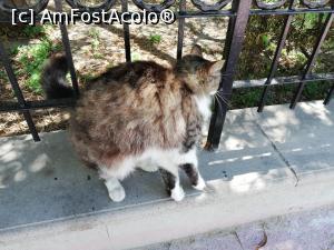 [P04] La pas prin Kusadasi » foto by ⭐ValentinB_88⭐
 - 
<span class="allrVoted glyphicon glyphicon-heart hidden" id="av1307833"></span>
<a class="m-l-10 hidden" id="sv1307833" onclick="voting_Foto_DelVot(,1307833,3144)" role="button">șterge vot <span class="glyphicon glyphicon-remove"></span></a>
<a id="v91307833" class=" c-red"  onclick="voting_Foto_SetVot(1307833)" role="button"><span class="glyphicon glyphicon-heart-empty"></span> <b>LIKE</b> = Votează poza</a> <img class="hidden"  id="f1307833W9" src="/imagini/loader.gif" border="0" /><span class="AjErrMes hidden" id="e1307833ErM"></span>