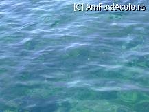 [P01] Apa marii - se vede fundul apei chiar daca e adanca de cativa metrii » foto by mili1983
 - 
<span class="allrVoted glyphicon glyphicon-heart hidden" id="av14721"></span>
<a class="m-l-10 hidden" id="sv14721" onclick="voting_Foto_DelVot(,14721,3144)" role="button">șterge vot <span class="glyphicon glyphicon-remove"></span></a>
<a id="v914721" class=" c-red"  onclick="voting_Foto_SetVot(14721)" role="button"><span class="glyphicon glyphicon-heart-empty"></span> <b>LIKE</b> = Votează poza</a> <img class="hidden"  id="f14721W9" src="/imagini/loader.gif" border="0" /><span class="AjErrMes hidden" id="e14721ErM"></span>