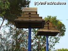 [P11] Cuiburi pt numeroasele pasari de pe insula. Kusadasi in limba turca inseamna 'Insula Pasarii' » foto by costin1968
 - 
<span class="allrVoted glyphicon glyphicon-heart hidden" id="av69765"></span>
<a class="m-l-10 hidden" id="sv69765" onclick="voting_Foto_DelVot(,69765,3144)" role="button">șterge vot <span class="glyphicon glyphicon-remove"></span></a>
<a id="v969765" class=" c-red"  onclick="voting_Foto_SetVot(69765)" role="button"><span class="glyphicon glyphicon-heart-empty"></span> <b>LIKE</b> = Votează poza</a> <img class="hidden"  id="f69765W9" src="/imagini/loader.gif" border="0" /><span class="AjErrMes hidden" id="e69765ErM"></span>