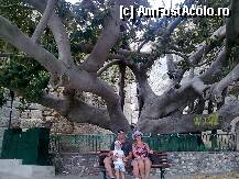 [P08] Insula Kos-ficus urias situat in port » foto by Marian Preda
 - 
<span class="allrVoted glyphicon glyphicon-heart hidden" id="av188495"></span>
<a class="m-l-10 hidden" id="sv188495" onclick="voting_Foto_DelVot(,188495,3145)" role="button">șterge vot <span class="glyphicon glyphicon-remove"></span></a>
<a id="v9188495" class=" c-red"  onclick="voting_Foto_SetVot(188495)" role="button"><span class="glyphicon glyphicon-heart-empty"></span> <b>LIKE</b> = Votează poza</a> <img class="hidden"  id="f188495W9" src="/imagini/loader.gif" border="0" /><span class="AjErrMes hidden" id="e188495ErM"></span>