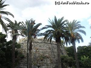 [P07] Am ajuns in Kos. Ce facem acum? O luam pe cateva stradute laterale.  » foto by vega06
 - 
<span class="allrVoted glyphicon glyphicon-heart hidden" id="av635459"></span>
<a class="m-l-10 hidden" id="sv635459" onclick="voting_Foto_DelVot(,635459,3145)" role="button">șterge vot <span class="glyphicon glyphicon-remove"></span></a>
<a id="v9635459" class=" c-red"  onclick="voting_Foto_SetVot(635459)" role="button"><span class="glyphicon glyphicon-heart-empty"></span> <b>LIKE</b> = Votează poza</a> <img class="hidden"  id="f635459W9" src="/imagini/loader.gif" border="0" /><span class="AjErrMes hidden" id="e635459ErM"></span>