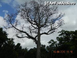 [P09] frangipani, cel mai frumos parfum din lume » foto by andreea72
 - 
<span class="allrVoted glyphicon glyphicon-heart hidden" id="av502112"></span>
<a class="m-l-10 hidden" id="sv502112" onclick="voting_Foto_DelVot(,502112,3149)" role="button">șterge vot <span class="glyphicon glyphicon-remove"></span></a>
<a id="v9502112" class=" c-red"  onclick="voting_Foto_SetVot(502112)" role="button"><span class="glyphicon glyphicon-heart-empty"></span> <b>LIKE</b> = Votează poza</a> <img class="hidden"  id="f502112W9" src="/imagini/loader.gif" border="0" /><span class="AjErrMes hidden" id="e502112ErM"></span>
