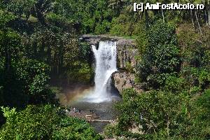 [P12] Cascada Tegenungan » foto by gvaly
 - 
<span class="allrVoted glyphicon glyphicon-heart hidden" id="av692263"></span>
<a class="m-l-10 hidden" id="sv692263" onclick="voting_Foto_DelVot(,692263,3149)" role="button">șterge vot <span class="glyphicon glyphicon-remove"></span></a>
<a id="v9692263" class=" c-red"  onclick="voting_Foto_SetVot(692263)" role="button"><span class="glyphicon glyphicon-heart-empty"></span> <b>LIKE</b> = Votează poza</a> <img class="hidden"  id="f692263W9" src="/imagini/loader.gif" border="0" /><span class="AjErrMes hidden" id="e692263ErM"></span>