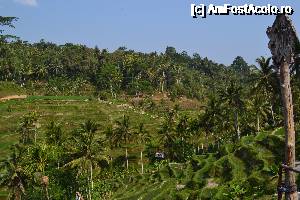 [P08] orezarie in trepte la nord de Ubud » foto by gvaly
 - 
<span class="allrVoted glyphicon glyphicon-heart hidden" id="av692259"></span>
<a class="m-l-10 hidden" id="sv692259" onclick="voting_Foto_DelVot(,692259,3149)" role="button">șterge vot <span class="glyphicon glyphicon-remove"></span></a>
<a id="v9692259" class=" c-red"  onclick="voting_Foto_SetVot(692259)" role="button"><span class="glyphicon glyphicon-heart-empty"></span> <b>LIKE</b> = Votează poza</a> <img class="hidden"  id="f692259W9" src="/imagini/loader.gif" border="0" /><span class="AjErrMes hidden" id="e692259ErM"></span>
