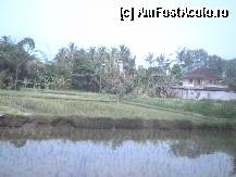 [P28] casa unei familii cu lotul sau de orez » foto by grecudoina
 - 
<span class="allrVoted glyphicon glyphicon-heart hidden" id="av310344"></span>
<a class="m-l-10 hidden" id="sv310344" onclick="voting_Foto_DelVot(,310344,3149)" role="button">șterge vot <span class="glyphicon glyphicon-remove"></span></a>
<a id="v9310344" class=" c-red"  onclick="voting_Foto_SetVot(310344)" role="button"><span class="glyphicon glyphicon-heart-empty"></span> <b>LIKE</b> = Votează poza</a> <img class="hidden"  id="f310344W9" src="/imagini/loader.gif" border="0" /><span class="AjErrMes hidden" id="e310344ErM"></span>