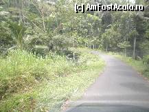 [P57] la intoarcere in Ubud,paduri cu vegetatie luxurianta » foto by grecudoina
 - 
<span class="allrVoted glyphicon glyphicon-heart hidden" id="av310400"></span>
<a class="m-l-10 hidden" id="sv310400" onclick="voting_Foto_DelVot(,310400,3149)" role="button">șterge vot <span class="glyphicon glyphicon-remove"></span></a>
<a id="v9310400" class=" c-red"  onclick="voting_Foto_SetVot(310400)" role="button"><span class="glyphicon glyphicon-heart-empty"></span> <b>LIKE</b> = Votează poza</a> <img class="hidden"  id="f310400W9" src="/imagini/loader.gif" border="0" /><span class="AjErrMes hidden" id="e310400ErM"></span>