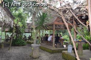 [P18] la o degustare de kopi luwak » foto by robert
 - 
<span class="allrVoted glyphicon glyphicon-heart hidden" id="av713358"></span>
<a class="m-l-10 hidden" id="sv713358" onclick="voting_Foto_DelVot(,713358,3149)" role="button">șterge vot <span class="glyphicon glyphicon-remove"></span></a>
<a id="v9713358" class=" c-red"  onclick="voting_Foto_SetVot(713358)" role="button"><span class="glyphicon glyphicon-heart-empty"></span> <b>LIKE</b> = Votează poza</a> <img class="hidden"  id="f713358W9" src="/imagini/loader.gif" border="0" /><span class="AjErrMes hidden" id="e713358ErM"></span>