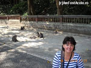 [P10] MONKEY FOREST » foto by MANU77
 - 
<span class="allrVoted glyphicon glyphicon-heart hidden" id="av571446"></span>
<a class="m-l-10 hidden" id="sv571446" onclick="voting_Foto_DelVot(,571446,3149)" role="button">șterge vot <span class="glyphicon glyphicon-remove"></span></a>
<a id="v9571446" class=" c-red"  onclick="voting_Foto_SetVot(571446)" role="button"><span class="glyphicon glyphicon-heart-empty"></span> <b>LIKE</b> = Votează poza</a> <img class="hidden"  id="f571446W9" src="/imagini/loader.gif" border="0" /><span class="AjErrMes hidden" id="e571446ErM"></span>