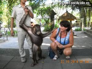 [P23] IN BALI SAFARI & MARINE PARK » foto by MANU77
 - 
<span class="allrVoted glyphicon glyphicon-heart hidden" id="av571472"></span>
<a class="m-l-10 hidden" id="sv571472" onclick="voting_Foto_DelVot(,571472,3149)" role="button">șterge vot <span class="glyphicon glyphicon-remove"></span></a>
<a id="v9571472" class=" c-red"  onclick="voting_Foto_SetVot(571472)" role="button"><span class="glyphicon glyphicon-heart-empty"></span> <b>LIKE</b> = Votează poza</a> <img class="hidden"  id="f571472W9" src="/imagini/loader.gif" border="0" /><span class="AjErrMes hidden" id="e571472ErM"></span>