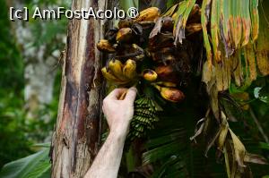 [P39] spre cascada Banyumala » foto by Chloe
 - 
<span class="allrVoted glyphicon glyphicon-heart hidden" id="av1477107"></span>
<a class="m-l-10 hidden" id="sv1477107" onclick="voting_Foto_DelVot(,1477107,3149)" role="button">șterge vot <span class="glyphicon glyphicon-remove"></span></a>
<a id="v91477107" class=" c-red"  onclick="voting_Foto_SetVot(1477107)" role="button"><span class="glyphicon glyphicon-heart-empty"></span> <b>LIKE</b> = Votează poza</a> <img class="hidden"  id="f1477107W9" src="/imagini/loader.gif" border="0" /><span class="AjErrMes hidden" id="e1477107ErM"></span>