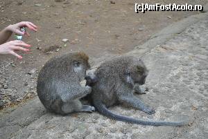 [P19]  -- <small>// FĂRĂ DESCRIERE</small> » foto by andreeaH
 - 
<span class="allrVoted glyphicon glyphicon-heart hidden" id="av585936"></span>
<a class="m-l-10 hidden" id="sv585936" onclick="voting_Foto_DelVot(,585936,3149)" role="button">șterge vot <span class="glyphicon glyphicon-remove"></span></a>
<a id="v9585936" class=" c-red"  onclick="voting_Foto_SetVot(585936)" role="button"><span class="glyphicon glyphicon-heart-empty"></span> <b>LIKE</b> = Votează poza</a> <img class="hidden"  id="f585936W9" src="/imagini/loader.gif" border="0" /><span class="AjErrMes hidden" id="e585936ErM"></span>