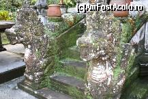 [P05] chair si dragonii de la intrare sunt acoperiti de verdeata » foto by Pami*
 - 
<span class="allrVoted glyphicon glyphicon-heart hidden" id="av226196"></span>
<a class="m-l-10 hidden" id="sv226196" onclick="voting_Foto_DelVot(,226196,3149)" role="button">șterge vot <span class="glyphicon glyphicon-remove"></span></a>
<a id="v9226196" class=" c-red"  onclick="voting_Foto_SetVot(226196)" role="button"><span class="glyphicon glyphicon-heart-empty"></span> <b>LIKE</b> = Votează poza</a> <img class="hidden"  id="f226196W9" src="/imagini/loader.gif" border="0" /><span class="AjErrMes hidden" id="e226196ErM"></span>