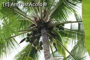 [P28]  -- <small>// FĂRĂ DESCRIERE</small> » foto by halekulani
 - 
<span class="allrVoted glyphicon glyphicon-heart hidden" id="av717926"></span>
<a class="m-l-10 hidden" id="sv717926" onclick="voting_Foto_DelVot(,717926,3149)" role="button">șterge vot <span class="glyphicon glyphicon-remove"></span></a>
<a id="v9717926" class=" c-red"  onclick="voting_Foto_SetVot(717926)" role="button"><span class="glyphicon glyphicon-heart-empty"></span> <b>LIKE</b> = Votează poza</a> <img class="hidden"  id="f717926W9" src="/imagini/loader.gif" border="0" /><span class="AjErrMes hidden" id="e717926ErM"></span>