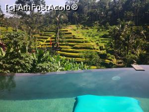 [P10] Tagalalong terasele de orez, Tis cafe infinity pool. » foto by dan39
 - 
<span class="allrVoted glyphicon glyphicon-heart hidden" id="av1142948"></span>
<a class="m-l-10 hidden" id="sv1142948" onclick="voting_Foto_DelVot(,1142948,3149)" role="button">șterge vot <span class="glyphicon glyphicon-remove"></span></a>
<a id="v91142948" class=" c-red"  onclick="voting_Foto_SetVot(1142948)" role="button"><span class="glyphicon glyphicon-heart-empty"></span> <b>LIKE</b> = Votează poza</a> <img class="hidden"  id="f1142948W9" src="/imagini/loader.gif" border="0" /><span class="AjErrMes hidden" id="e1142948ErM"></span>