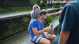 [P03] aici un ingrijitor a urcat o maimutica pe baiatul din imagine, iar cea mica a venit singura dupa banane.  » foto by Bianca-Beatrice*
 - 
<span class="allrVoted glyphicon glyphicon-heart hidden" id="av536598"></span>
<a class="m-l-10 hidden" id="sv536598" onclick="voting_Foto_DelVot(,536598,3149)" role="button">șterge vot <span class="glyphicon glyphicon-remove"></span></a>
<a id="v9536598" class=" c-red"  onclick="voting_Foto_SetVot(536598)" role="button"><span class="glyphicon glyphicon-heart-empty"></span> <b>LIKE</b> = Votează poza</a> <img class="hidden"  id="f536598W9" src="/imagini/loader.gif" border="0" /><span class="AjErrMes hidden" id="e536598ErM"></span>