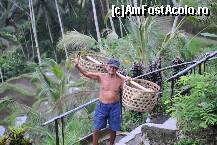 [P10] Ketut! » foto by marinescubgdn
 - 
<span class="allrVoted glyphicon glyphicon-heart hidden" id="av295364"></span>
<a class="m-l-10 hidden" id="sv295364" onclick="voting_Foto_DelVot(,295364,3149)" role="button">șterge vot <span class="glyphicon glyphicon-remove"></span></a>
<a id="v9295364" class=" c-red"  onclick="voting_Foto_SetVot(295364)" role="button"><span class="glyphicon glyphicon-heart-empty"></span> <b>LIKE</b> = Votează poza</a> <img class="hidden"  id="f295364W9" src="/imagini/loader.gif" border="0" /><span class="AjErrMes hidden" id="e295364ErM"></span>