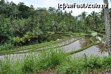 [P07] Agricultura in jungla! » foto by marinescubgdn
 - 
<span class="allrVoted glyphicon glyphicon-heart hidden" id="av295359"></span>
<a class="m-l-10 hidden" id="sv295359" onclick="voting_Foto_DelVot(,295359,3149)" role="button">șterge vot <span class="glyphicon glyphicon-remove"></span></a>
<a id="v9295359" class=" c-red"  onclick="voting_Foto_SetVot(295359)" role="button"><span class="glyphicon glyphicon-heart-empty"></span> <b>LIKE</b> = Votează poza</a> <img class="hidden"  id="f295359W9" src="/imagini/loader.gif" border="0" /><span class="AjErrMes hidden" id="e295359ErM"></span>