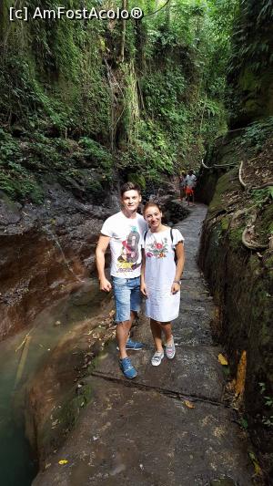 [P01] Monkey Forest » foto by Isabela93
 - 
<span class="allrVoted glyphicon glyphicon-heart hidden" id="av887144"></span>
<a class="m-l-10 hidden" id="sv887144" onclick="voting_Foto_DelVot(,887144,3149)" role="button">șterge vot <span class="glyphicon glyphicon-remove"></span></a>
<a id="v9887144" class=" c-red"  onclick="voting_Foto_SetVot(887144)" role="button"><span class="glyphicon glyphicon-heart-empty"></span> <b>LIKE</b> = Votează poza</a> <img class="hidden"  id="f887144W9" src="/imagini/loader.gif" border="0" /><span class="AjErrMes hidden" id="e887144ErM"></span>
