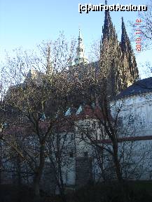 [P05] Castelul » foto by olivial
 - 
<span class="allrVoted glyphicon glyphicon-heart hidden" id="av326397"></span>
<a class="m-l-10 hidden" id="sv326397" onclick="voting_Foto_DelVot(,326397,3167)" role="button">șterge vot <span class="glyphicon glyphicon-remove"></span></a>
<a id="v9326397" class=" c-red"  onclick="voting_Foto_SetVot(326397)" role="button"><span class="glyphicon glyphicon-heart-empty"></span> <b>LIKE</b> = Votează poza</a> <img class="hidden"  id="f326397W9" src="/imagini/loader.gif" border="0" /><span class="AjErrMes hidden" id="e326397ErM"></span>