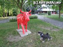 [P01] catelul da tarcoale unei vaci rosii, de plastic. si maraie » foto by cristi_an3000
 - 
<span class="allrVoted glyphicon glyphicon-heart hidden" id="av208318"></span>
<a class="m-l-10 hidden" id="sv208318" onclick="voting_Foto_DelVot(,208318,3167)" role="button">șterge vot <span class="glyphicon glyphicon-remove"></span></a>
<a id="v9208318" class=" c-red"  onclick="voting_Foto_SetVot(208318)" role="button"><span class="glyphicon glyphicon-heart-empty"></span> <b>LIKE</b> = Votează poza</a> <img class="hidden"  id="f208318W9" src="/imagini/loader.gif" border="0" /><span class="AjErrMes hidden" id="e208318ErM"></span>