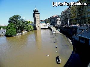 [P37] Vltava crescută peste nivelul obişnuit. Lebedele însă se plimbau nestingherite.  » foto by ariciu*
 - 
<span class="allrVoted glyphicon glyphicon-heart hidden" id="av427410"></span>
<a class="m-l-10 hidden" id="sv427410" onclick="voting_Foto_DelVot(,427410,3167)" role="button">șterge vot <span class="glyphicon glyphicon-remove"></span></a>
<a id="v9427410" class=" c-red"  onclick="voting_Foto_SetVot(427410)" role="button"><span class="glyphicon glyphicon-heart-empty"></span> <b>LIKE</b> = Votează poza</a> <img class="hidden"  id="f427410W9" src="/imagini/loader.gif" border="0" /><span class="AjErrMes hidden" id="e427410ErM"></span>