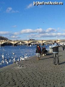 [P02] Praga - Malurile Vltavei - pasari flamande » foto by Pragheza_Gotica
 - 
<span class="allrVoted glyphicon glyphicon-heart hidden" id="av491631"></span>
<a class="m-l-10 hidden" id="sv491631" onclick="voting_Foto_DelVot(,491631,3167)" role="button">șterge vot <span class="glyphicon glyphicon-remove"></span></a>
<a id="v9491631" class=" c-red"  onclick="voting_Foto_SetVot(491631)" role="button"><span class="glyphicon glyphicon-heart-empty"></span> <b>LIKE</b> = Votează poza</a> <img class="hidden"  id="f491631W9" src="/imagini/loader.gif" border="0" /><span class="AjErrMes hidden" id="e491631ErM"></span>