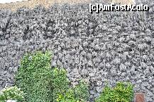 [P19] Un zid ciudat in curtea palatului Wallenstein » foto by crosbyx*
 - 
<span class="allrVoted glyphicon glyphicon-heart hidden" id="av237884"></span>
<a class="m-l-10 hidden" id="sv237884" onclick="voting_Foto_DelVot(,237884,3167)" role="button">șterge vot <span class="glyphicon glyphicon-remove"></span></a>
<a id="v9237884" class=" c-red"  onclick="voting_Foto_SetVot(237884)" role="button"><span class="glyphicon glyphicon-heart-empty"></span> <b>LIKE</b> = Votează poza</a> <img class="hidden"  id="f237884W9" src="/imagini/loader.gif" border="0" /><span class="AjErrMes hidden" id="e237884ErM"></span>