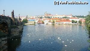 [P04] castelul Praga vazut de langa Podul Carol » foto by Valentinp3
 - 
<span class="allrVoted glyphicon glyphicon-heart hidden" id="av555956"></span>
<a class="m-l-10 hidden" id="sv555956" onclick="voting_Foto_DelVot(,555956,3167)" role="button">șterge vot <span class="glyphicon glyphicon-remove"></span></a>
<a id="v9555956" class=" c-red"  onclick="voting_Foto_SetVot(555956)" role="button"><span class="glyphicon glyphicon-heart-empty"></span> <b>LIKE</b> = Votează poza</a> <img class="hidden"  id="f555956W9" src="/imagini/loader.gif" border="0" /><span class="AjErrMes hidden" id="e555956ErM"></span>