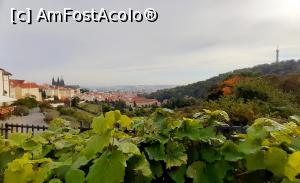 [P17] Mănăstirea Strahov - panorama » foto by Carmen Ion
 - 
<span class="allrVoted glyphicon glyphicon-heart hidden" id="av1286440"></span>
<a class="m-l-10 hidden" id="sv1286440" onclick="voting_Foto_DelVot(,1286440,3167)" role="button">șterge vot <span class="glyphicon glyphicon-remove"></span></a>
<a id="v91286440" class=" c-red"  onclick="voting_Foto_SetVot(1286440)" role="button"><span class="glyphicon glyphicon-heart-empty"></span> <b>LIKE</b> = Votează poza</a> <img class="hidden"  id="f1286440W9" src="/imagini/loader.gif" border="0" /><span class="AjErrMes hidden" id="e1286440ErM"></span>