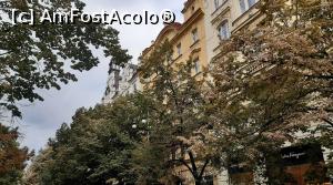 [P50] <strong>Strada Pařížská</strong> » foto by Carmen Ion
 - 
<span class="allrVoted glyphicon glyphicon-heart hidden" id="av1289265"></span>
<a class="m-l-10 hidden" id="sv1289265" onclick="voting_Foto_DelVot(,1289265,3167)" role="button">șterge vot <span class="glyphicon glyphicon-remove"></span></a>
<a id="v91289265" class=" c-red"  onclick="voting_Foto_SetVot(1289265)" role="button"><span class="glyphicon glyphicon-heart-empty"></span> <b>LIKE</b> = Votează poza</a> <img class="hidden"  id="f1289265W9" src="/imagini/loader.gif" border="0" /><span class="AjErrMes hidden" id="e1289265ErM"></span>