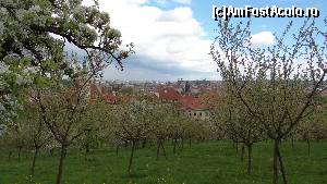 [P52] livezi pe dealul Petrin » foto by Camelia19
 - 
<span class="allrVoted glyphicon glyphicon-heart hidden" id="av623209"></span>
<a class="m-l-10 hidden" id="sv623209" onclick="voting_Foto_DelVot(,623209,3167)" role="button">șterge vot <span class="glyphicon glyphicon-remove"></span></a>
<a id="v9623209" class=" c-red"  onclick="voting_Foto_SetVot(623209)" role="button"><span class="glyphicon glyphicon-heart-empty"></span> <b>LIKE</b> = Votează poza</a> <img class="hidden"  id="f623209W9" src="/imagini/loader.gif" border="0" /><span class="AjErrMes hidden" id="e623209ErM"></span>