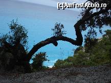 [P33] Culoarea incredibila a pei marii la Egremni » foto by ionescunic
 - 
<span class="allrVoted glyphicon glyphicon-heart hidden" id="av79938"></span>
<a class="m-l-10 hidden" id="sv79938" onclick="voting_Foto_DelVot(,79938,3173)" role="button">șterge vot <span class="glyphicon glyphicon-remove"></span></a>
<a id="v979938" class=" c-red"  onclick="voting_Foto_SetVot(79938)" role="button"><span class="glyphicon glyphicon-heart-empty"></span> <b>LIKE</b> = Votează poza</a> <img class="hidden"  id="f79938W9" src="/imagini/loader.gif" border="0" /><span class="AjErrMes hidden" id="e79938ErM"></span>