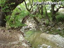 [P08] In drum spre cascada , micul rau » foto by ionescunic
 - 
<span class="allrVoted glyphicon glyphicon-heart hidden" id="av79912"></span>
<a class="m-l-10 hidden" id="sv79912" onclick="voting_Foto_DelVot(,79912,3173)" role="button">șterge vot <span class="glyphicon glyphicon-remove"></span></a>
<a id="v979912" class=" c-red"  onclick="voting_Foto_SetVot(79912)" role="button"><span class="glyphicon glyphicon-heart-empty"></span> <b>LIKE</b> = Votează poza</a> <img class="hidden"  id="f79912W9" src="/imagini/loader.gif" border="0" /><span class="AjErrMes hidden" id="e79912ErM"></span>