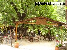 [P09] Micuta terasa in drumul spre casacada » foto by ionescunic
 - 
<span class="allrVoted glyphicon glyphicon-heart hidden" id="av79913"></span>
<a class="m-l-10 hidden" id="sv79913" onclick="voting_Foto_DelVot(,79913,3173)" role="button">șterge vot <span class="glyphicon glyphicon-remove"></span></a>
<a id="v979913" class=" c-red"  onclick="voting_Foto_SetVot(79913)" role="button"><span class="glyphicon glyphicon-heart-empty"></span> <b>LIKE</b> = Votează poza</a> <img class="hidden"  id="f79913W9" src="/imagini/loader.gif" border="0" /><span class="AjErrMes hidden" id="e79913ErM"></span>