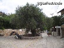 [P16] Maslinul legendar din Agios Nikitas » foto by georgiana
 - 
<span class="allrVoted glyphicon glyphicon-heart hidden" id="av274486"></span>
<a class="m-l-10 hidden" id="sv274486" onclick="voting_Foto_DelVot(,274486,3173)" role="button">șterge vot <span class="glyphicon glyphicon-remove"></span></a>
<a id="v9274486" class=" c-red"  onclick="voting_Foto_SetVot(274486)" role="button"><span class="glyphicon glyphicon-heart-empty"></span> <b>LIKE</b> = Votează poza</a> <img class="hidden"  id="f274486W9" src="/imagini/loader.gif" border="0" /><span class="AjErrMes hidden" id="e274486ErM"></span>