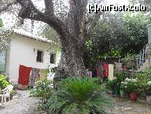 [P26] Agios Nikitas » foto by georgiana
 - 
<span class="allrVoted glyphicon glyphicon-heart hidden" id="av274496"></span>
<a class="m-l-10 hidden" id="sv274496" onclick="voting_Foto_DelVot(,274496,3173)" role="button">șterge vot <span class="glyphicon glyphicon-remove"></span></a>
<a id="v9274496" class=" c-red"  onclick="voting_Foto_SetVot(274496)" role="button"><span class="glyphicon glyphicon-heart-empty"></span> <b>LIKE</b> = Votează poza</a> <img class="hidden"  id="f274496W9" src="/imagini/loader.gif" border="0" /><span class="AjErrMes hidden" id="e274496ErM"></span>