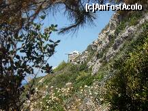 [P04] Imagine surprinsa in drumul spre Milos Beach. » foto by georgiana
 - 
<span class="allrVoted glyphicon glyphicon-heart hidden" id="av274474"></span>
<a class="m-l-10 hidden" id="sv274474" onclick="voting_Foto_DelVot(,274474,3173)" role="button">șterge vot <span class="glyphicon glyphicon-remove"></span></a>
<a id="v9274474" class=" c-red"  onclick="voting_Foto_SetVot(274474)" role="button"><span class="glyphicon glyphicon-heart-empty"></span> <b>LIKE</b> = Votează poza</a> <img class="hidden"  id="f274474W9" src="/imagini/loader.gif" border="0" /><span class="AjErrMes hidden" id="e274474ErM"></span>