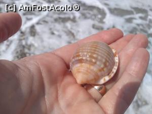 [P19] natura acasa » foto by Radix7
 - 
<span class="allrVoted glyphicon glyphicon-heart hidden" id="av1171132"></span>
<a class="m-l-10 hidden" id="sv1171132" onclick="voting_Foto_DelVot(,1171132,3173)" role="button">șterge vot <span class="glyphicon glyphicon-remove"></span></a>
<a id="v91171132" class=" c-red"  onclick="voting_Foto_SetVot(1171132)" role="button"><span class="glyphicon glyphicon-heart-empty"></span> <b>LIKE</b> = Votează poza</a> <img class="hidden"  id="f1171132W9" src="/imagini/loader.gif" border="0" /><span class="AjErrMes hidden" id="e1171132ErM"></span>